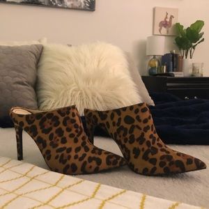 Cheetah pumps